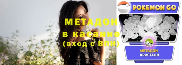 стаф Алзамай