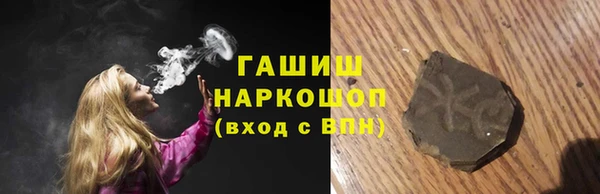 стаф Алзамай