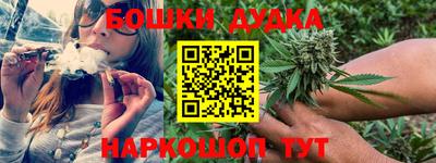эйфоретик Новозыбков