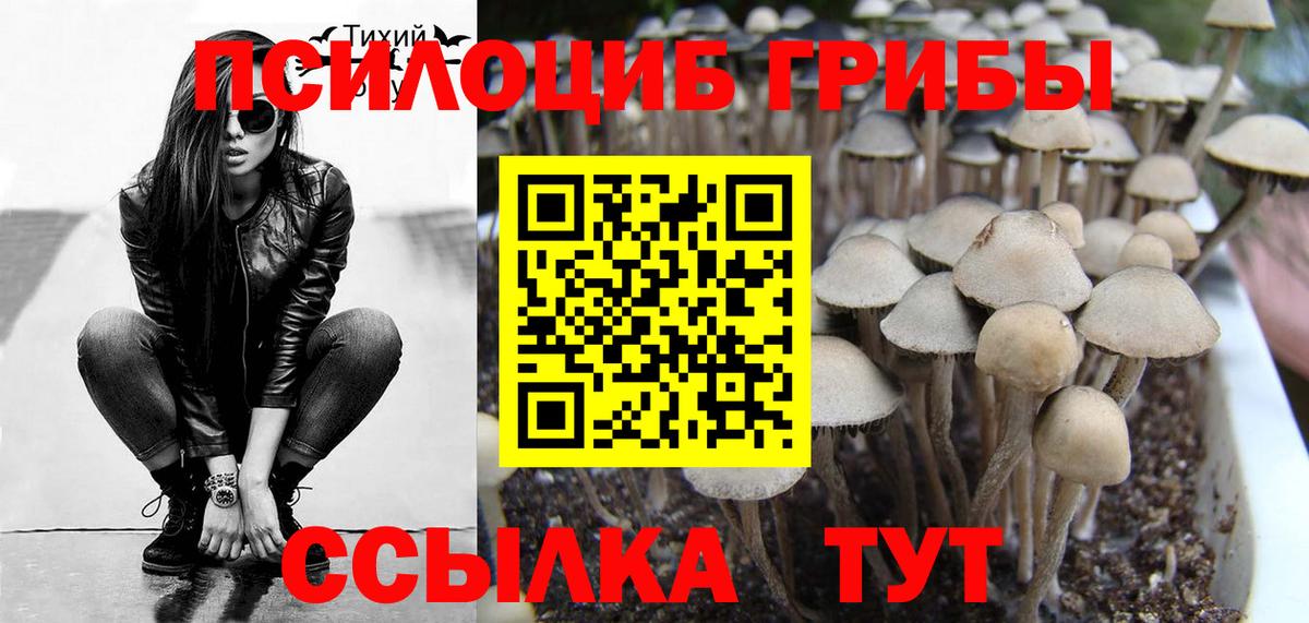 Псилоцибиновые грибы Magic Shrooms  Вход с VPN  Балашов 